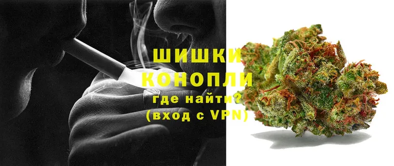 Бошки марихуана THC 21%  Тавда 